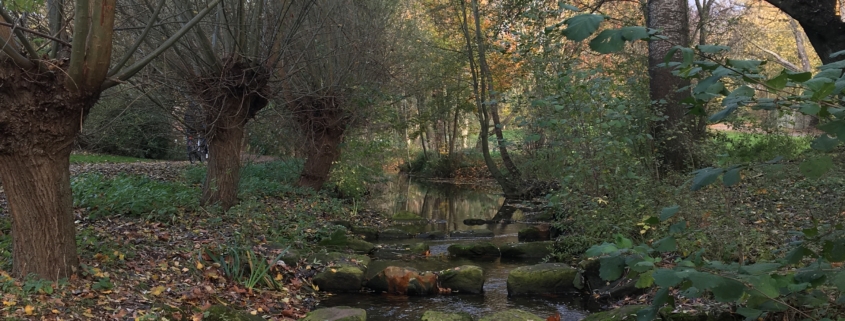 Bild eines Bachlaufs mit großen Steinen im Wasser und Kopfweiden und Birken entlang des Ufers