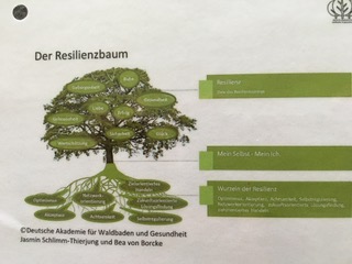 Resilienzbaum seine Wurzeln seine Ziele