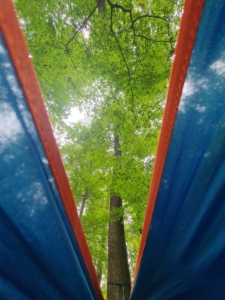 Abhängen im Wald: Hängemattenzeit